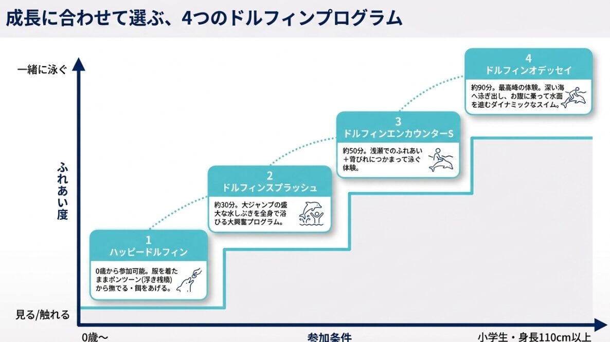 年齢やふれあい度に合わせて選べる4つのドルフィンプログラム（ハッピードルフィンからオデッセイまで）の図解