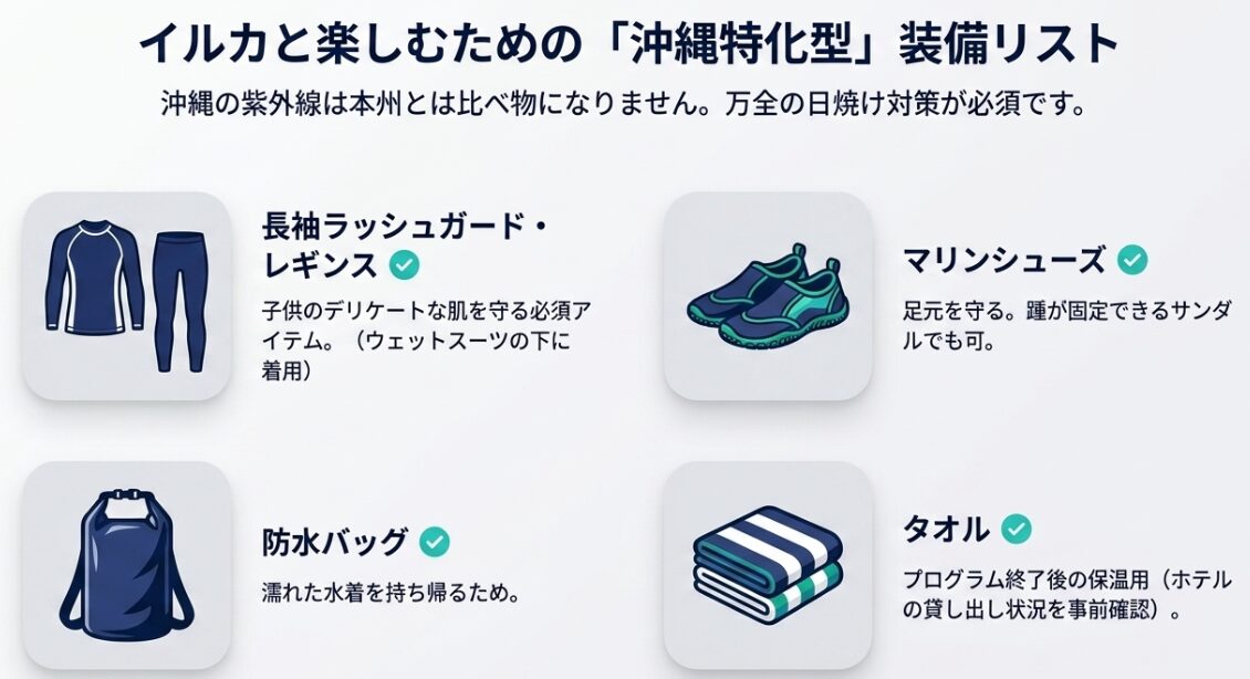 ラッシュガード、マリンシューズ、防水バッグなどイルカと楽しむための必須アイテムリスト