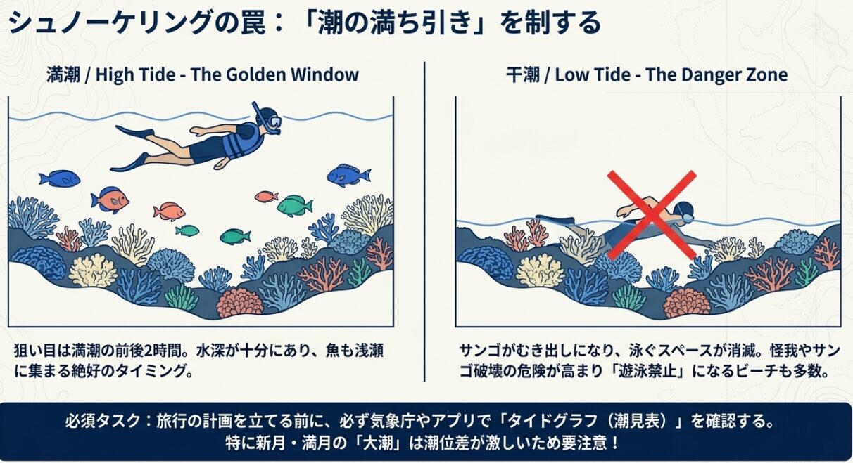 満潮と干潮におけるシュノーケリング環境の違いと影響を図解
