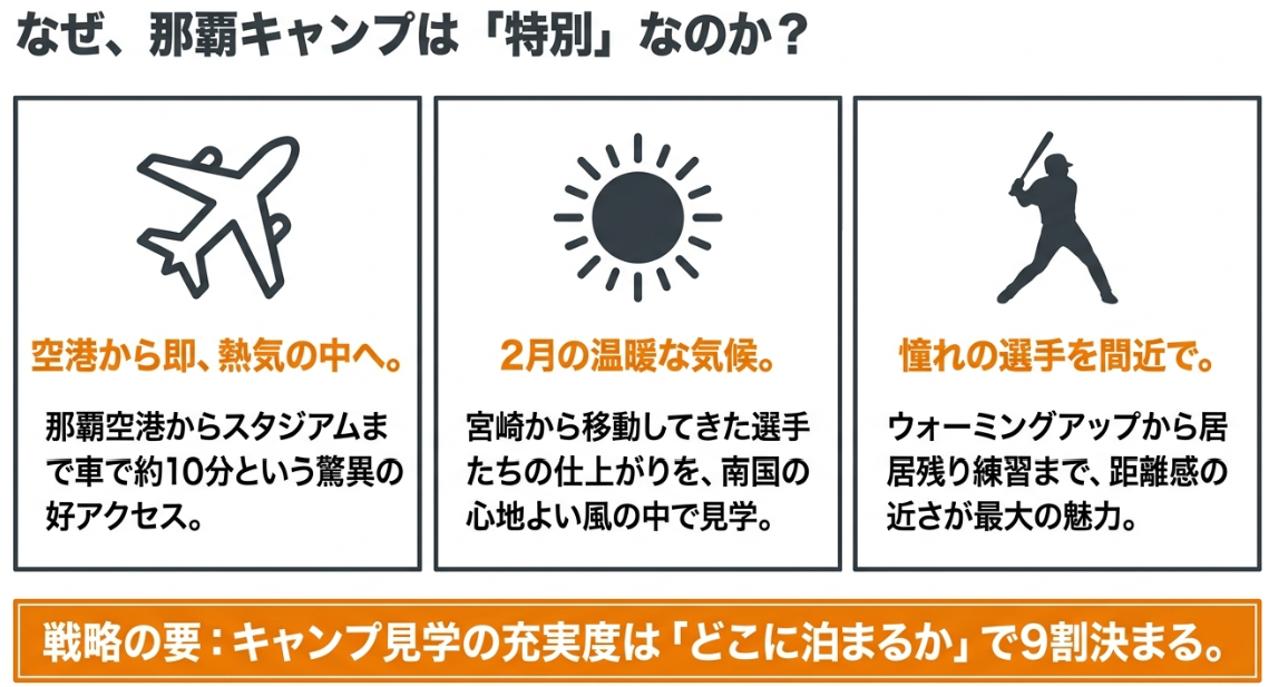 巨人の那覇キャンプが特別な理由（好アクセス、温暖な気候、選手との距離感）